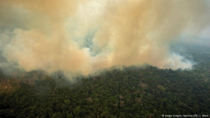 Tropicheskie Lesa Amazonii V Ogne Fotogalereya Sobytiya V Mire Ocenki I Prognozy Iz Germanii I Evropy Dw 29 08 2019