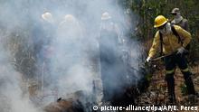 Incendii de pădure: Brazilia în stare de necesitate