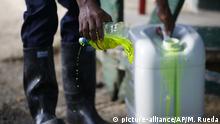 A security guard applies chemicals to a basin for use in decontaminating boots, as part of sanitary controls at the entrance of a quarantined banana plantation near Riohacha, Colombia, Friday, August 23, 2019. A destructive fungus affecting the plantation travels on small particles of soil that can stick to truck tires, farm equipment or workers' shoes. (AP Photo/Fernando Vergara) |