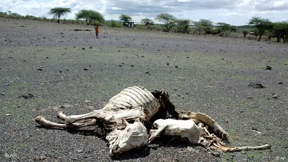 Dürre in Äthiopien Flash-Galerie