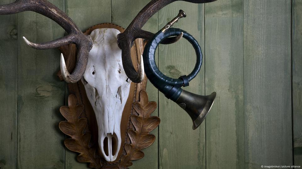 CITES: Killing animals to save them? – DW – 08/27/2019 CITES: Killing animals to save them? – DW – 08/27/2019