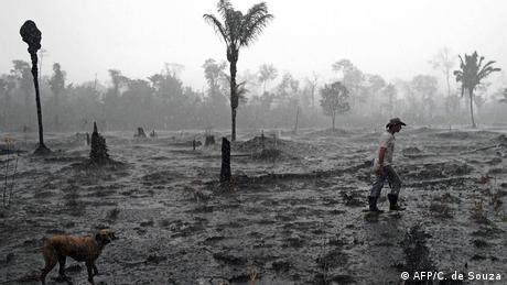 A Brazilian farmer and a dog walk through a burnt area of the Amazon rainforest 