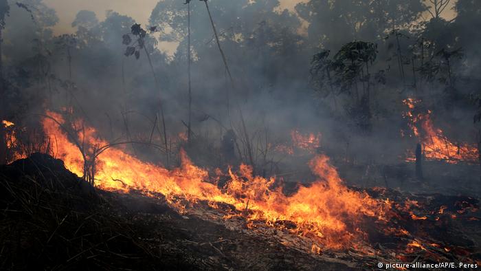 A fire burning along a road in Brazil