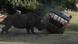 Kusini the rhinoceros overturns a small vehicle carrying a parkkeeper. Kusini the rhinoceros overturns a small vehicle carrying a parkkeeper.