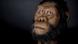 Lucy - Australopithecus anamensis Lucy - Australopithecus anamensis