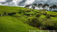 New Zealand Passes Law To Combat Climate Change – DW – 11/07/2019