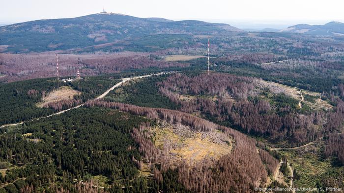 Deutschland | Waldsterben