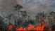A fire burning a Brazilian forest A fire burning a Brazilian forest