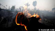 A tract of Amazon jungle burning is seen in Apui, Para state, Brazil August 30, 2019. REUTERS/Bruno Kelly TPX IMAGES OF THE DAY