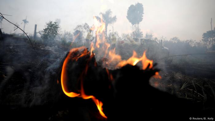 Los incendios en la Amazonía obtuvieron enorme cobertura de la prensa mundial.