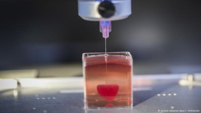 Israel | 3D-Drucker | Herz (picture-alliance/dpa/I. Yefimovich)