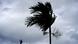 A man stands on a store's roof as he works to prepare it for the arrival of Hurricane Dorian in Freeport on Grand Bahama A man stands on a store's roof as he works to prepare it for the arrival of Hurricane Dorian in Freeport on Grand Bahama