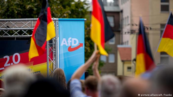 Alternative for Germany rally