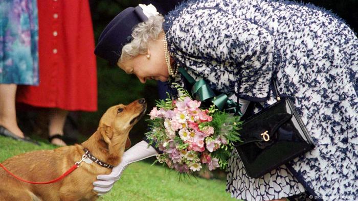 Queen Elizabeth with one of her pet corgis