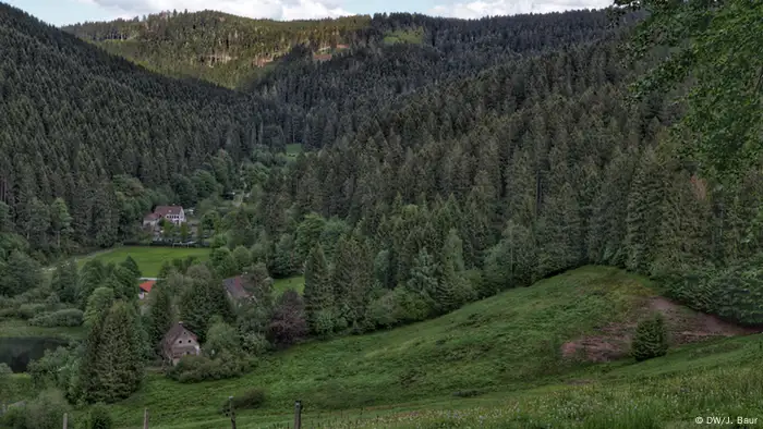 Deutschland | Harz | Harzer Hexen-Stieg