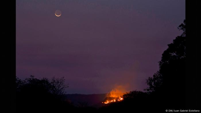 Incendios en la Chiquitania, Bolivia.