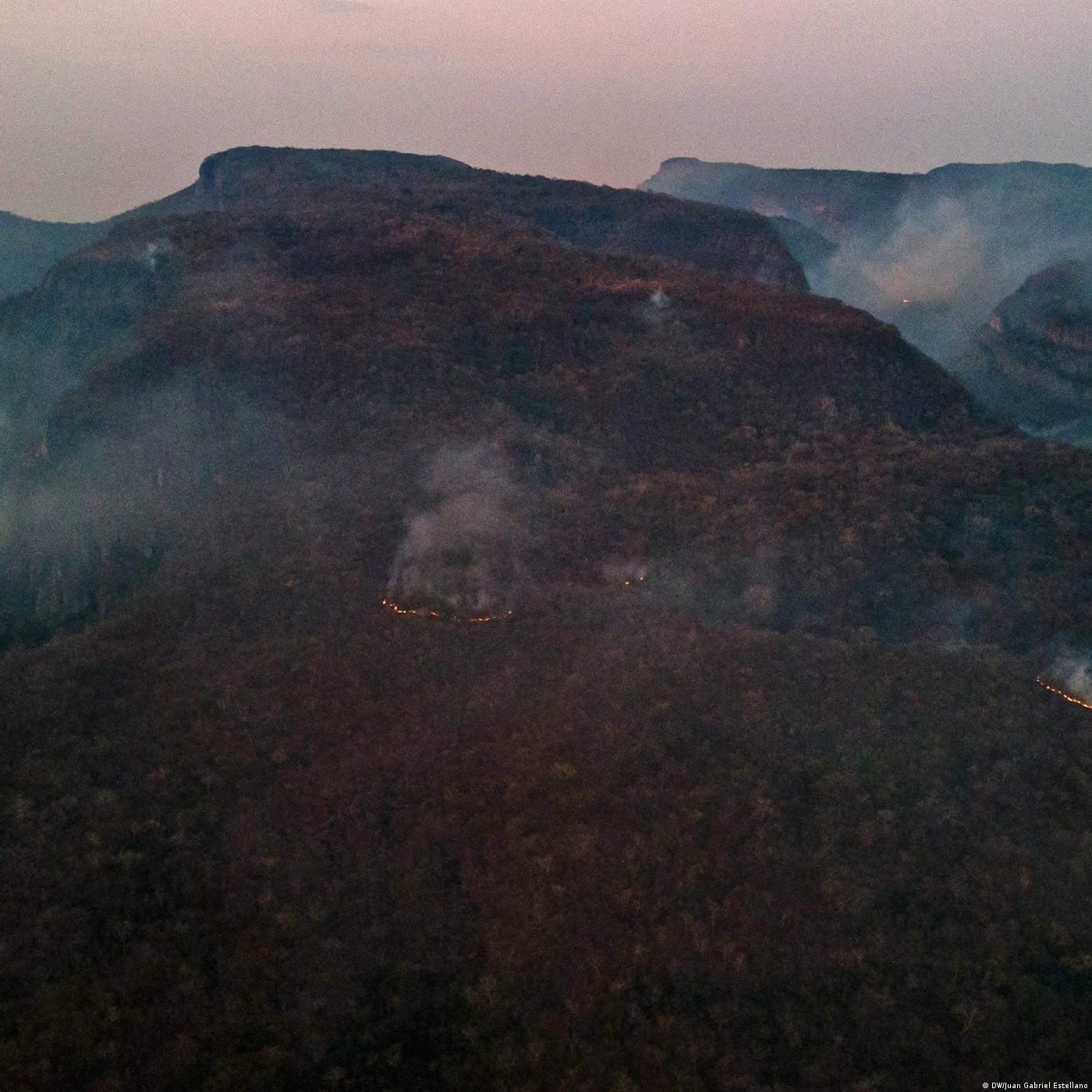 Living Planet: In times of change