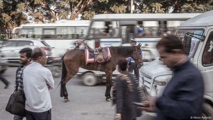 Un caballo y gente se cruzan en medio del tráfico en una calle muy transitada.