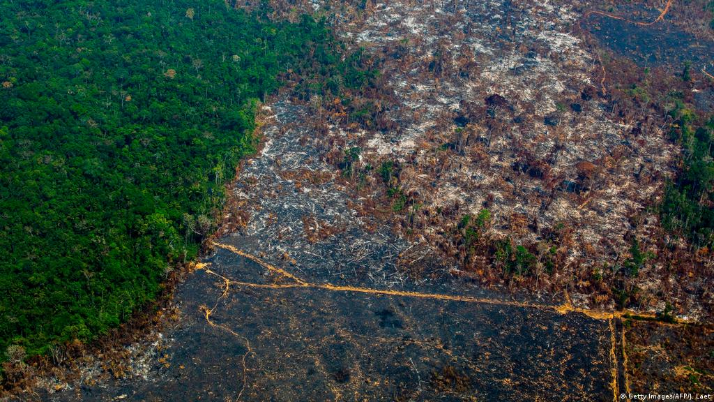 Amazon deforestation in Brazil hits worst level in over a decade | News |  DW | 18.11.2019