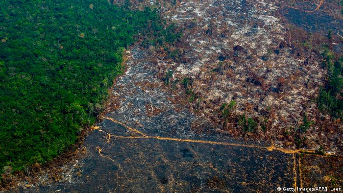 Aerial view of deforestation in Nascentes da Serra do Cachimbo Biological Reserve in Altamira, Brazil