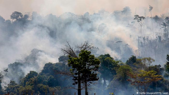 Brände im Amazonas-Gebiet