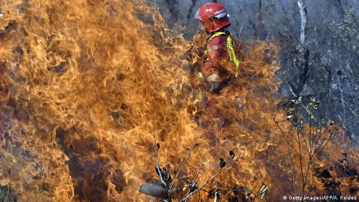 Los humedales tropicales más grandes del mundo, la región del Pantanal, también se incendiaron.