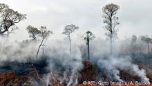 Incendio en la Amazonía de Bolivia preocupa al gobierno de La Paz