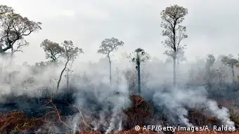 forest fires in Bolivia
