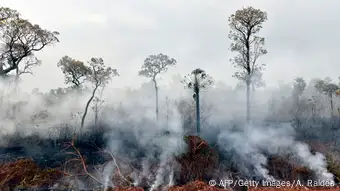 forest fires in Bolivia