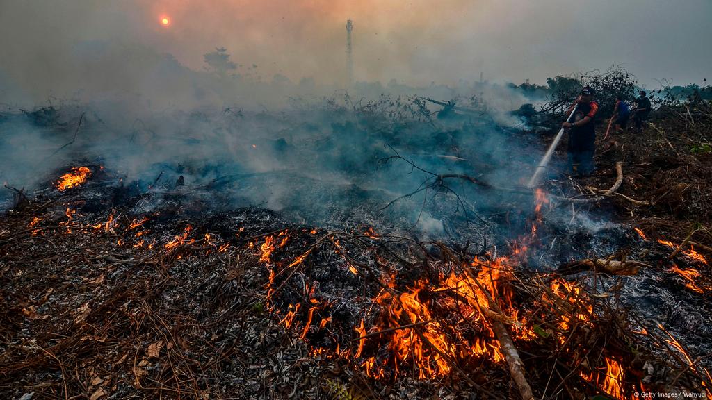 Greenpeace Pengawasan Dan Penegakan Hukum Solusi Kebakaran Hutan Dan Lahan Di Indonesia Indonesia Laporan Topik Topik Yang Menjadi Berita Utama Dw 11 09 2019