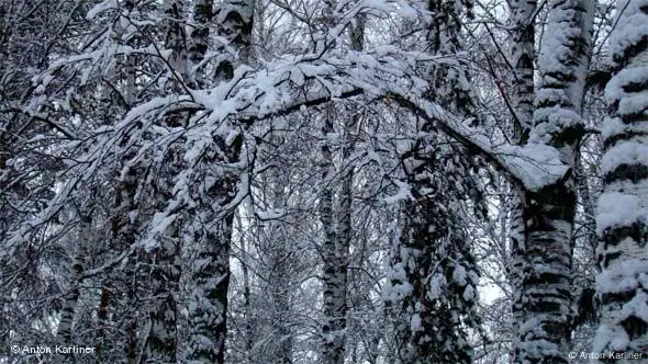 Der Blick aus meinem Fenster: Akademgorodok, Sibirien