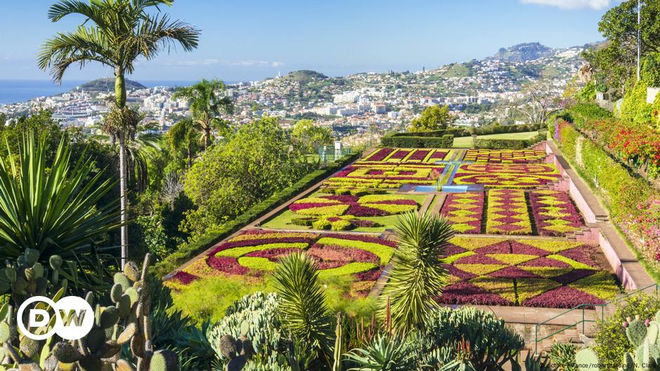 Quiz: What do you know about Funchal? – DW – 11/15/2019