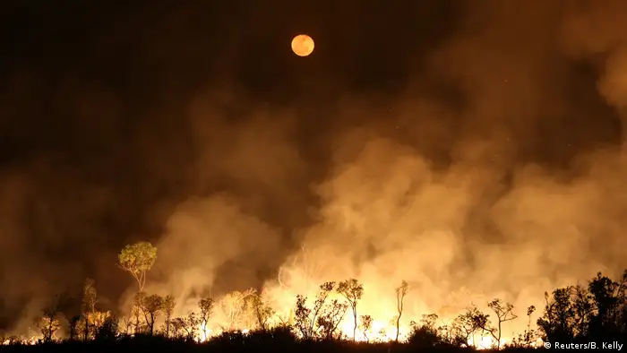 Brasilien | Brände im Amazonasgebiet (Reuters/B. Kelly)
