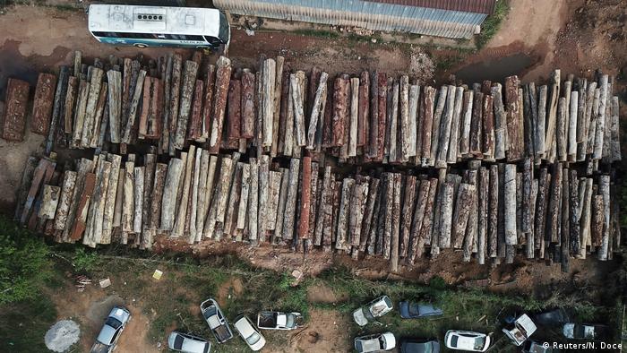 Global Ideas Brasilien Illegale Abholzung in Anapu