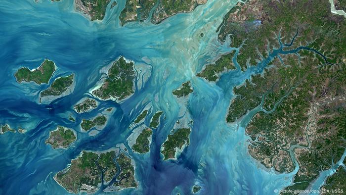 Mangroves in the Guinea-Bissau archipelago 