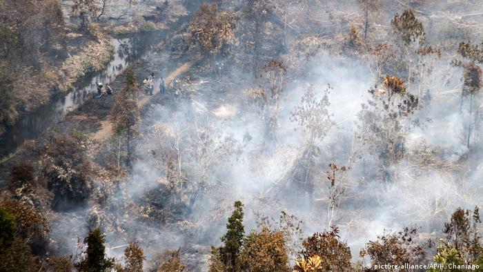 Bildergalerie: Waldbrände in Indonesien (picture-alliance/AP/F. Chaniago)