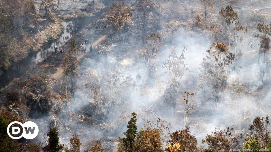 Covid-19 dan Kebakaran Hutan di Indonesia – DW – 9 Juli 2020