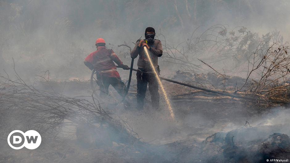 Kebakaran Hutan Dan Lahan Berpotensi Rugikan Ekonomi Indonesia Indonesia Laporan Topik Topik Yang Menjadi Berita Utama Dw 25 09 2019