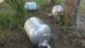 F-gas containers F-gas containers