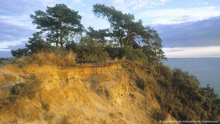 Usedom Weißer Berg