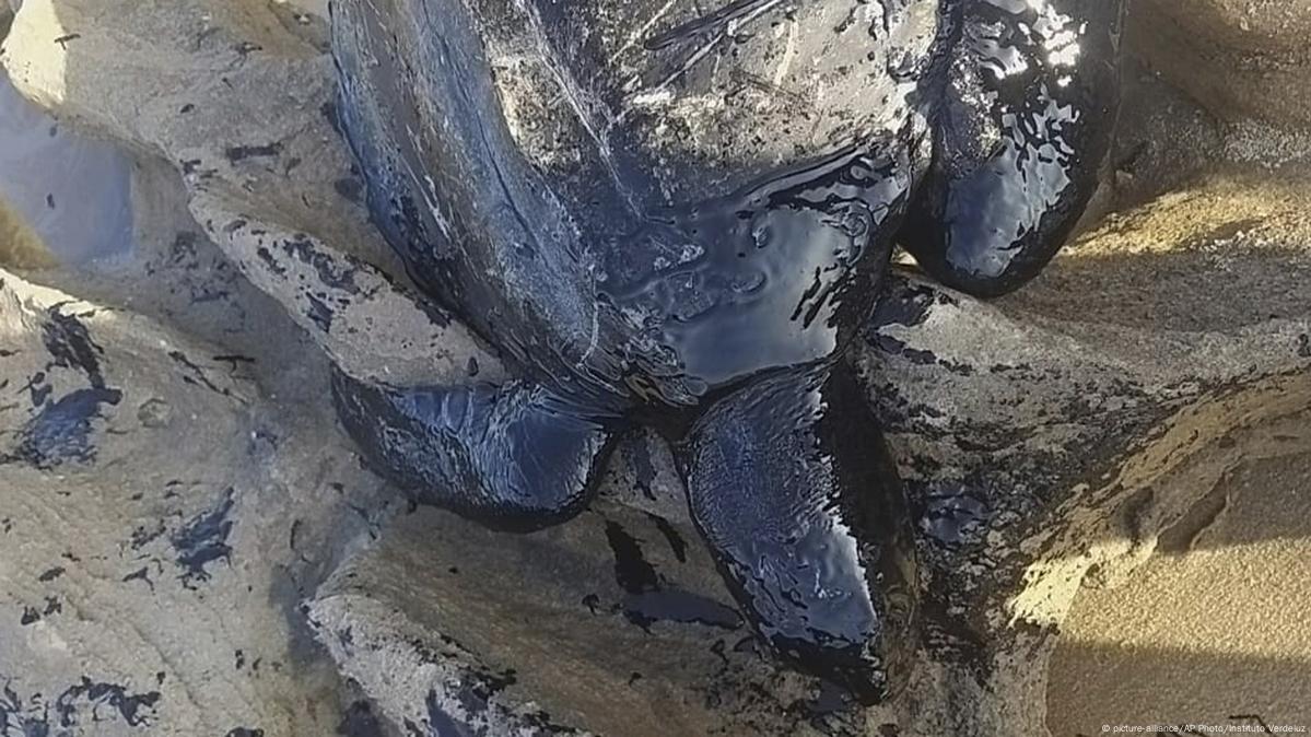 Mystery Surrounds Vast Brazil Oil Spill Dw 09 27 2019