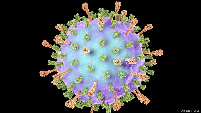 Ilustração feita em computador para mostrar a aparência do vírus.É um círculo disforme nas cores azul e roxo, com ramificações nas cores laranja e verde que parecem plantas