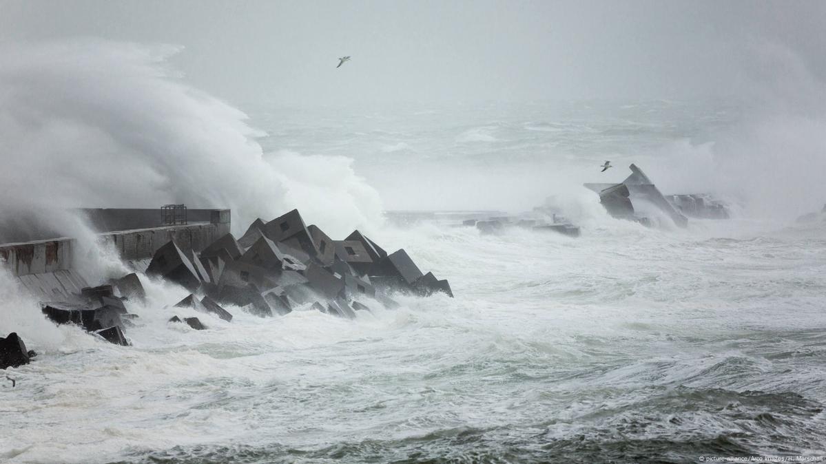 Letting the ocean in to protect coastlines – DW – 12/23/2019