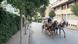 Türkei Pferdektuschen in Büyükada Türkei Pferdektuschen in Büyükada