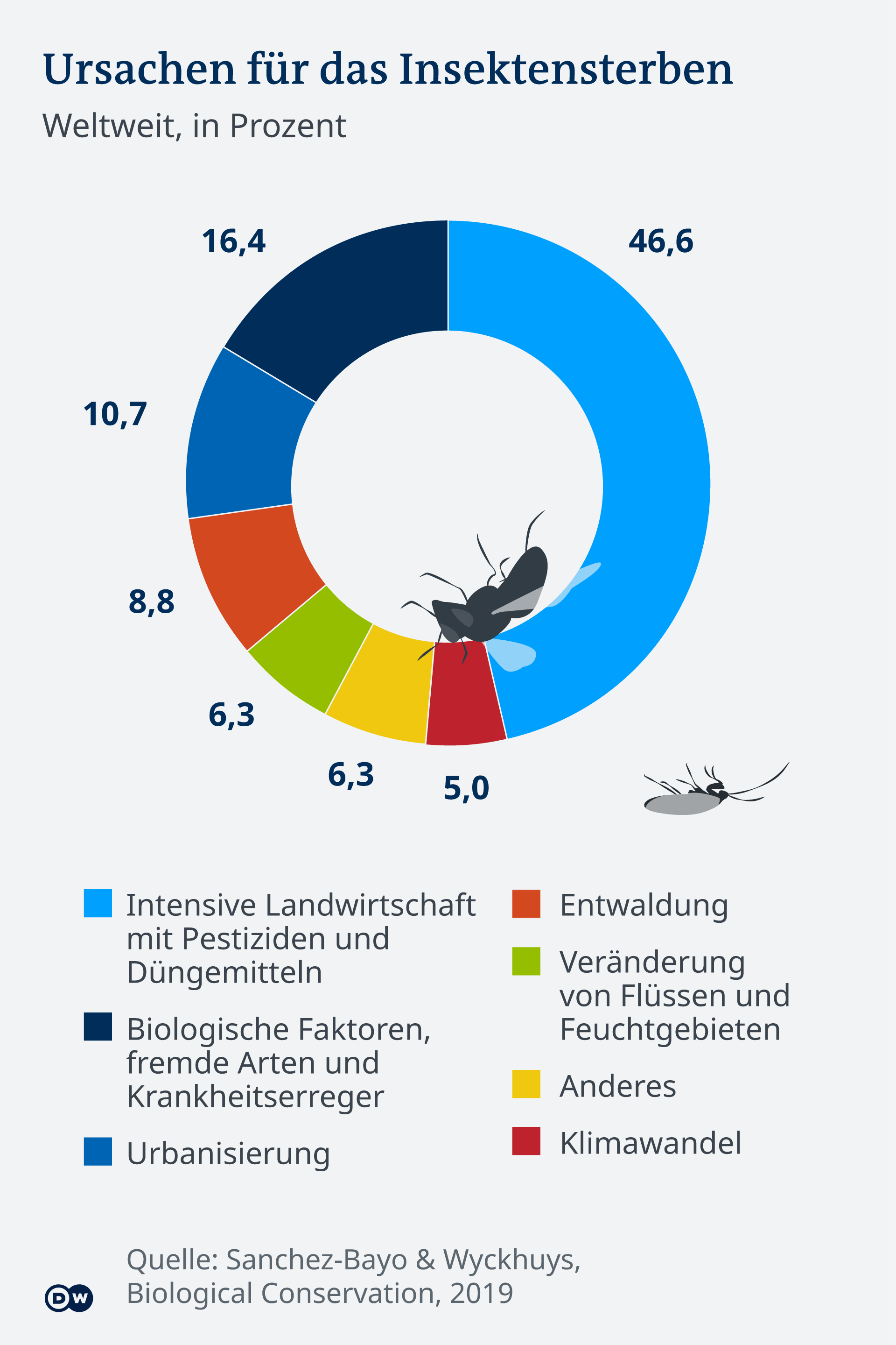 Invasive Arten: Bedrohung für globale Biodiversität