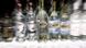 Bottles of vodka in a Moscow supermarket Bottles of vodka in a Moscow supermarket