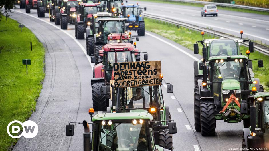 Dutch farmers angry about nitrogen restrictions – DW – 07/29/2021