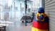 A man wrapped in an Ecuadorian flag huddles against the wall as an armored car rolls down the street A man wrapped in an Ecuadorian flag huddles against the wall as an armored car rolls down the street