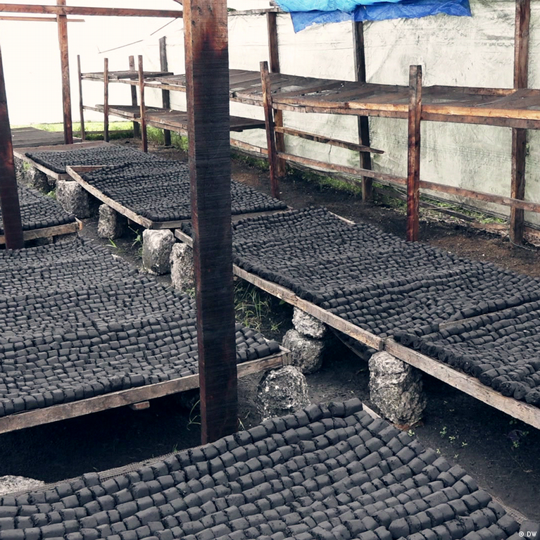 Agricultural Waste Problem – Coconut Charcoal Briquettes