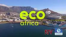 Eco Africa — The Environment Magazine